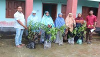 নওগাঁয় ডাসকো ফাউন্ডেশনের উদ্যোগে বৃক্ষ র...